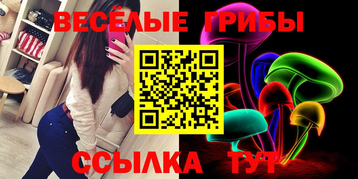Мичуринск  Галлюциногенные грибы мухоморы  Вход с VPN 